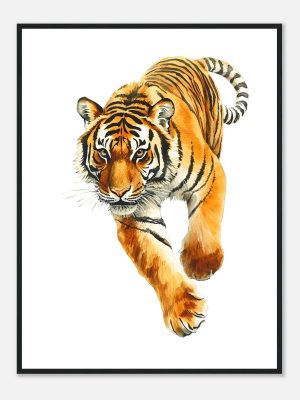 0498acc9-b164-4ab6-9656-ad491838f5c3.jpg 0498acc9-b164-4ab6-9656-ad491838f5c3