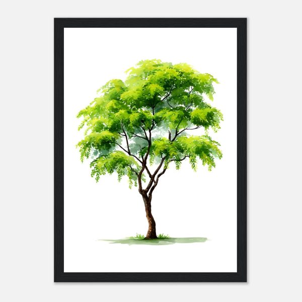 55727efd-faac-4990-b5a3-0c2cb17c2140.jpg 55727efd-faac-4990-b5a3-0c2cb17c2140