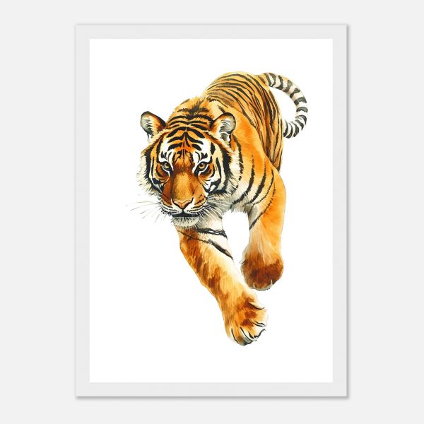 857ba301-85fc-48c3-a35f-66b400fad896