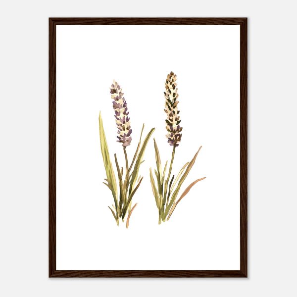 85b54dd5-277b-48ea-b7bf-6160482a1d1c.jpg 85b54dd5-277b-48ea-b7bf-6160482a1d1c