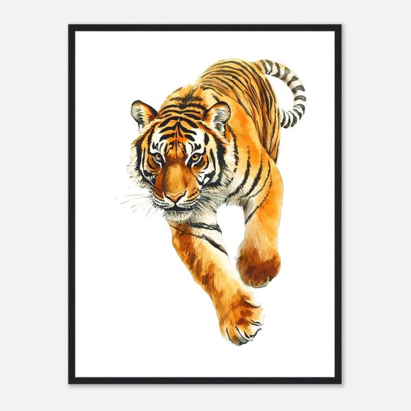 87e2b344-1cb9-41c2-84cd-e4238a18b57d