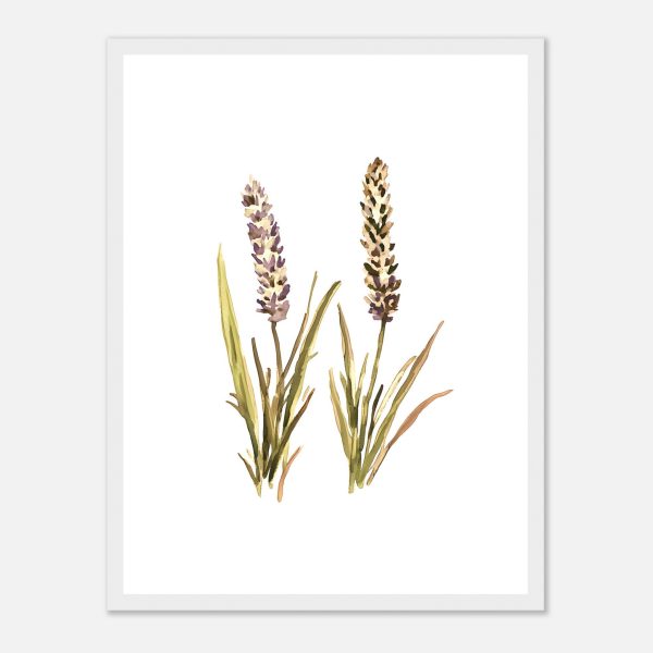 c4f82edd-3985-4845-8663-a09cfcf168c7.jpg c4f82edd-3985-4845-8663-a09cfcf168c7