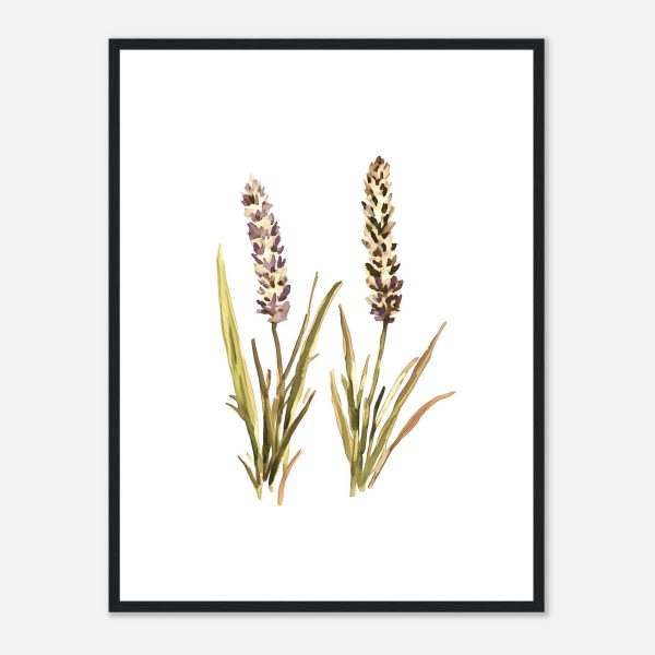 ca4f5475-349b-4f96-8f01-b6f527c2a438.jpg ca4f5475-349b-4f96-8f01-b6f527c2a438