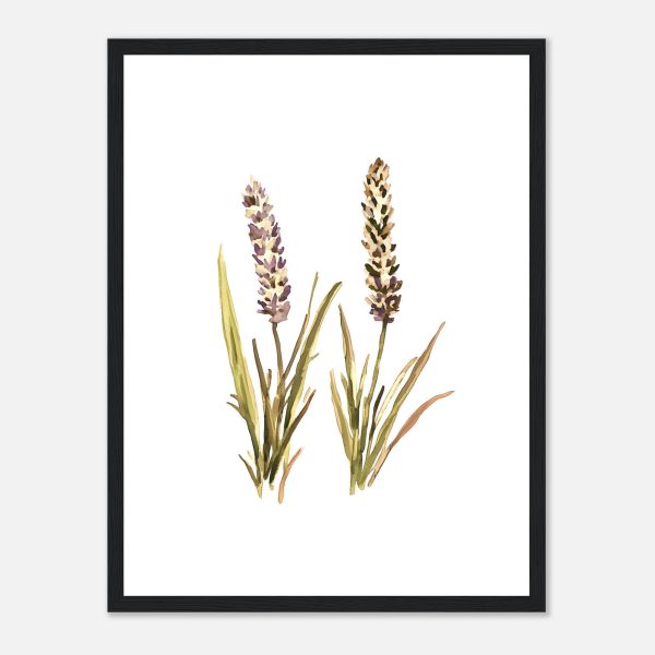 d11c5e9b-1a3f-4f17-b678-abcaa8c41150.jpg d11c5e9b-1a3f-4f17-b678-abcaa8c41150