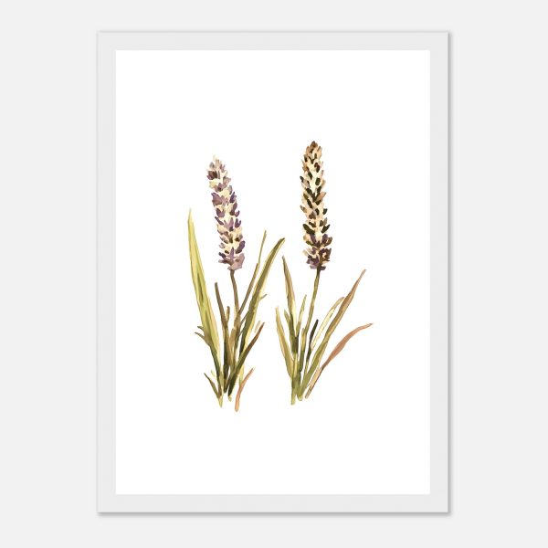 e5a2ea23-d420-4ee9-90db-24814d51c118.jpg e5a2ea23-d420-4ee9-90db-24814d51c118