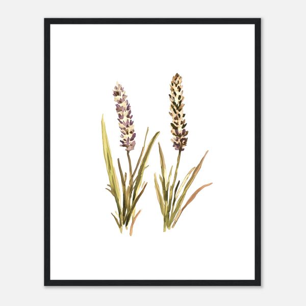 edfb7742-f0a6-4a6f-8d4f-58a45e995720.jpg edfb7742-f0a6-4a6f-8d4f-58a45e995720